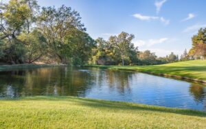 Odkrycia paleontologiczne sensacyjne: Niesamowite znaleziska!