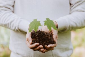 Inicjatywy ekologiczne: przełomowe działania na rzecz środowiska